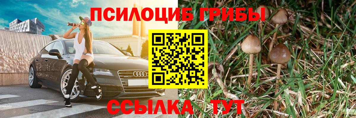 Галлюциногенные грибы Magic Shrooms  Псилоцибиновые грибы GOLDEN TEACHER  Вход с VPN  Ахтубинск 